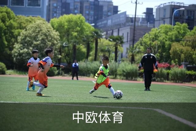 中欧体育